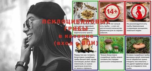 альфа пвп Краснослободск